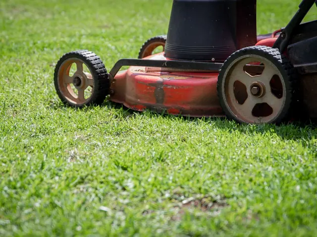 Rasenmäher steht im frisch gemähten Gras