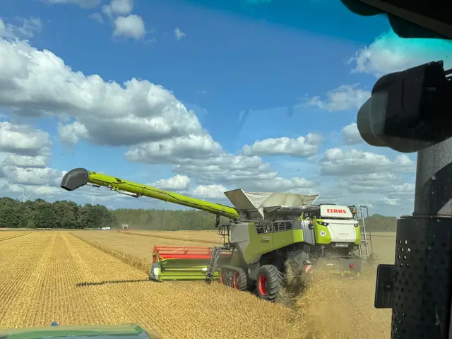 Feldarbeit im Frühjahr