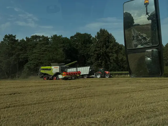 Erntetransport hautnah miterlebt