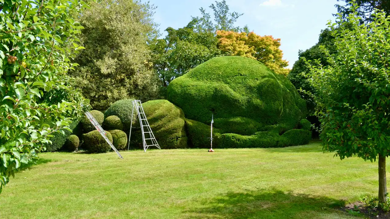Gepflegtes Grundstück mit frisch geschnittener Hecke
